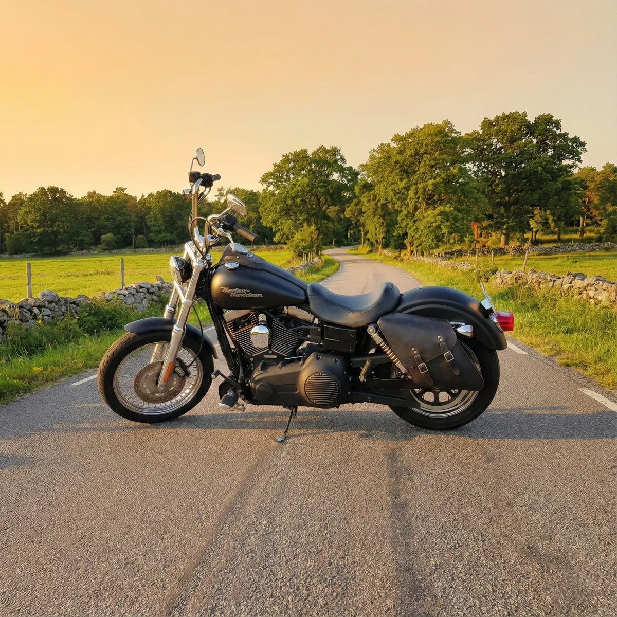 Black motorcycle parked on a rural road with trees and sunset in the background