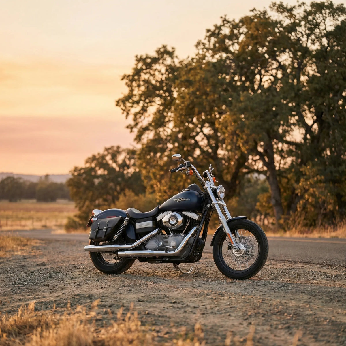 Harley Dyna Solo Bag - Right Side (Model DR011)