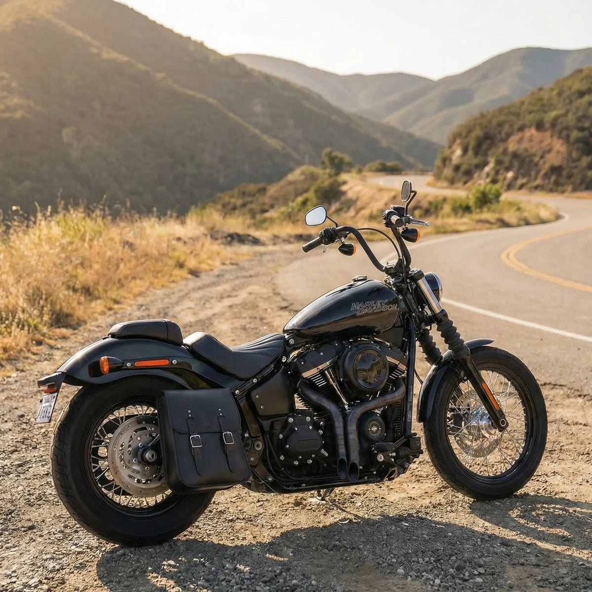 H-D® 2018-Later Softail Right Side Solo Bag - SHR04
