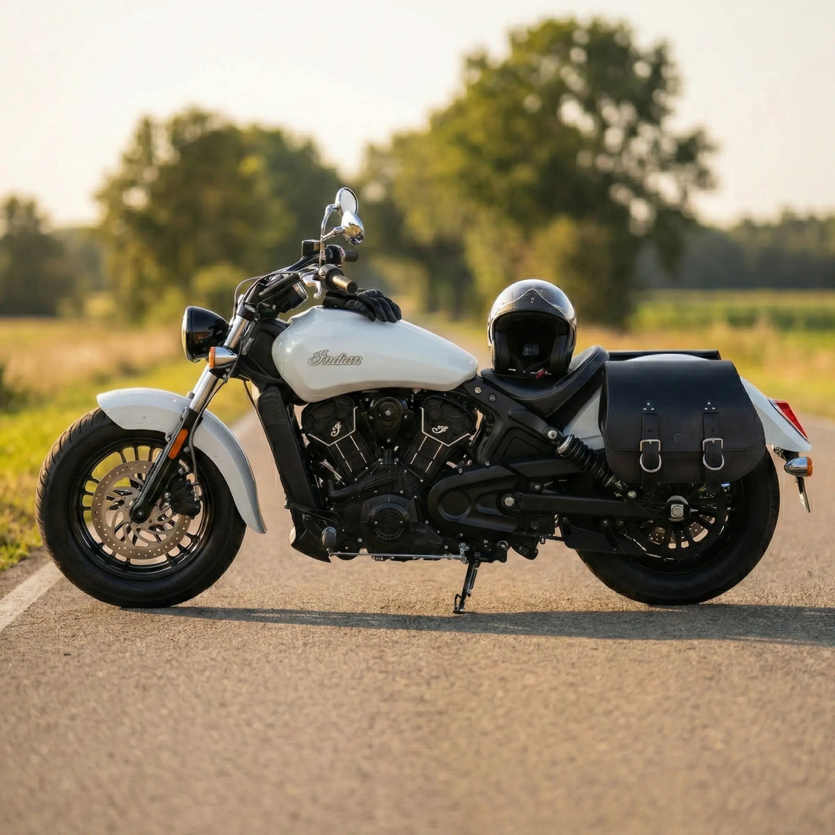 Motorcycle with sidecar on a road with trees in the background