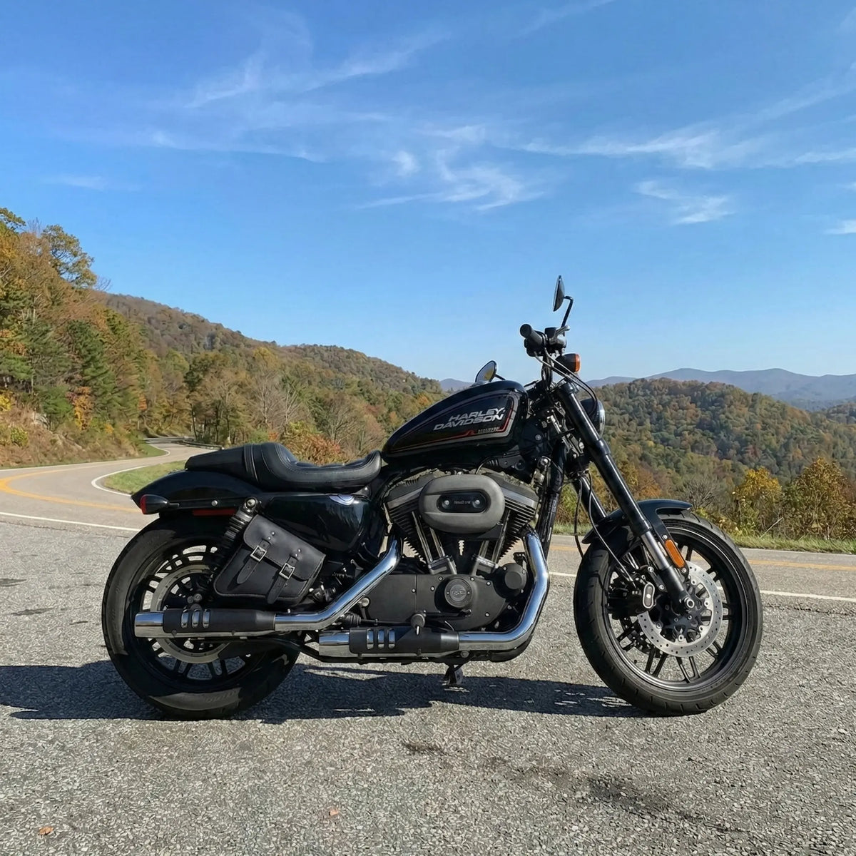HD® Sportster Solotasche für die rechte Seite – SR02